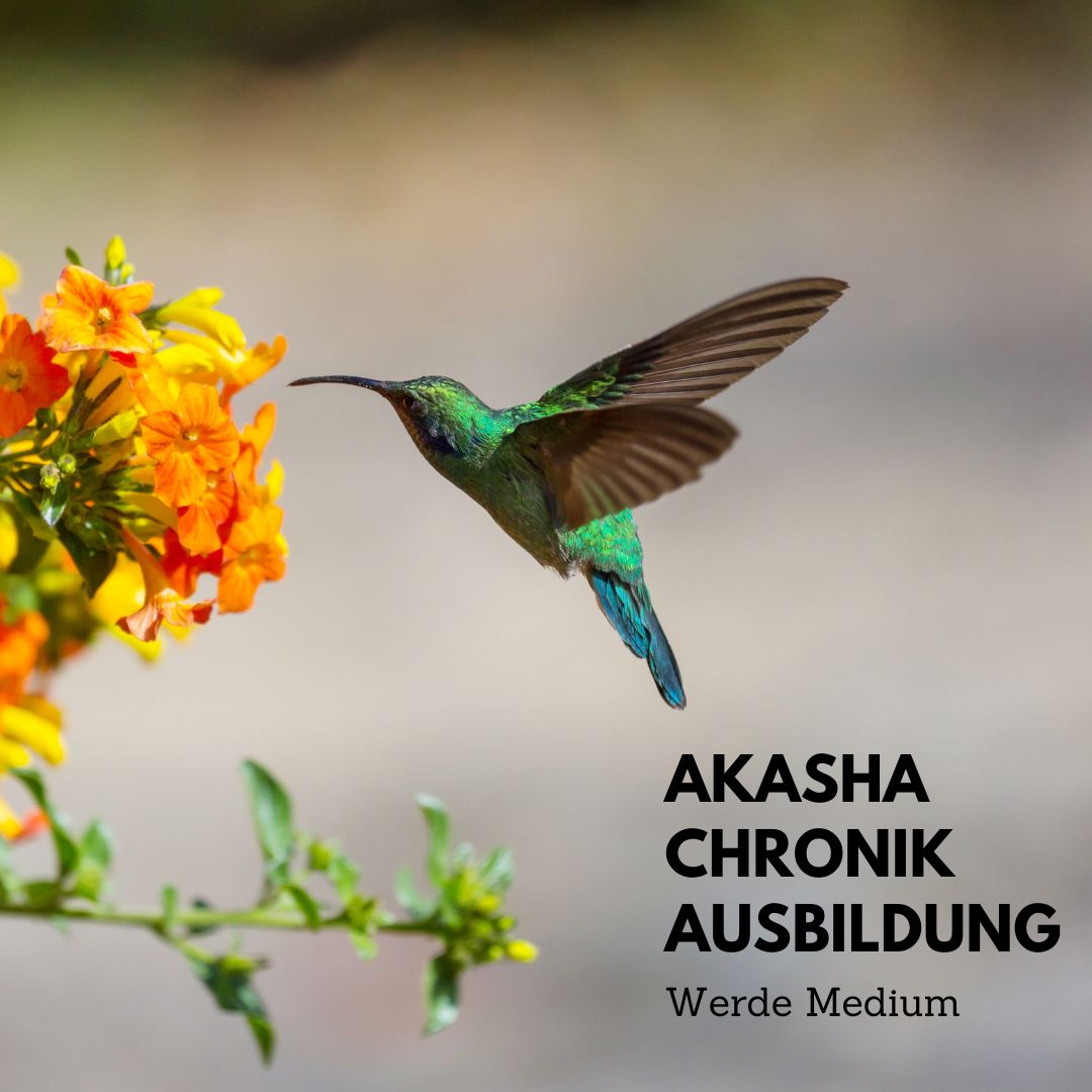 Akasha Chronik Online - Ausbildung  Start 11.04.2026 bis 03.05.26 jeweils Sa + So  von 12-15 Uhr.