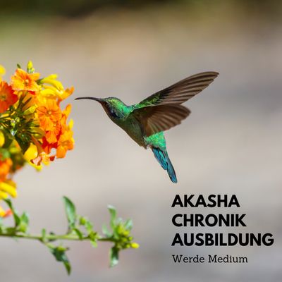 Akasha Chronik Online - Ausbildung Start 11.04.2026 bis 03.05.26 jeweils Sa + So von 12-15 Uhr.