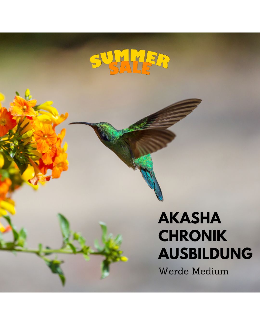 Akasha Chronik Online - Ausbildung. Summer Sale: 03.10.2026 bis 25.10.26 jeweils Sa + So  von 11-14 Uhr. PayPal Ratenzahlung möglich.