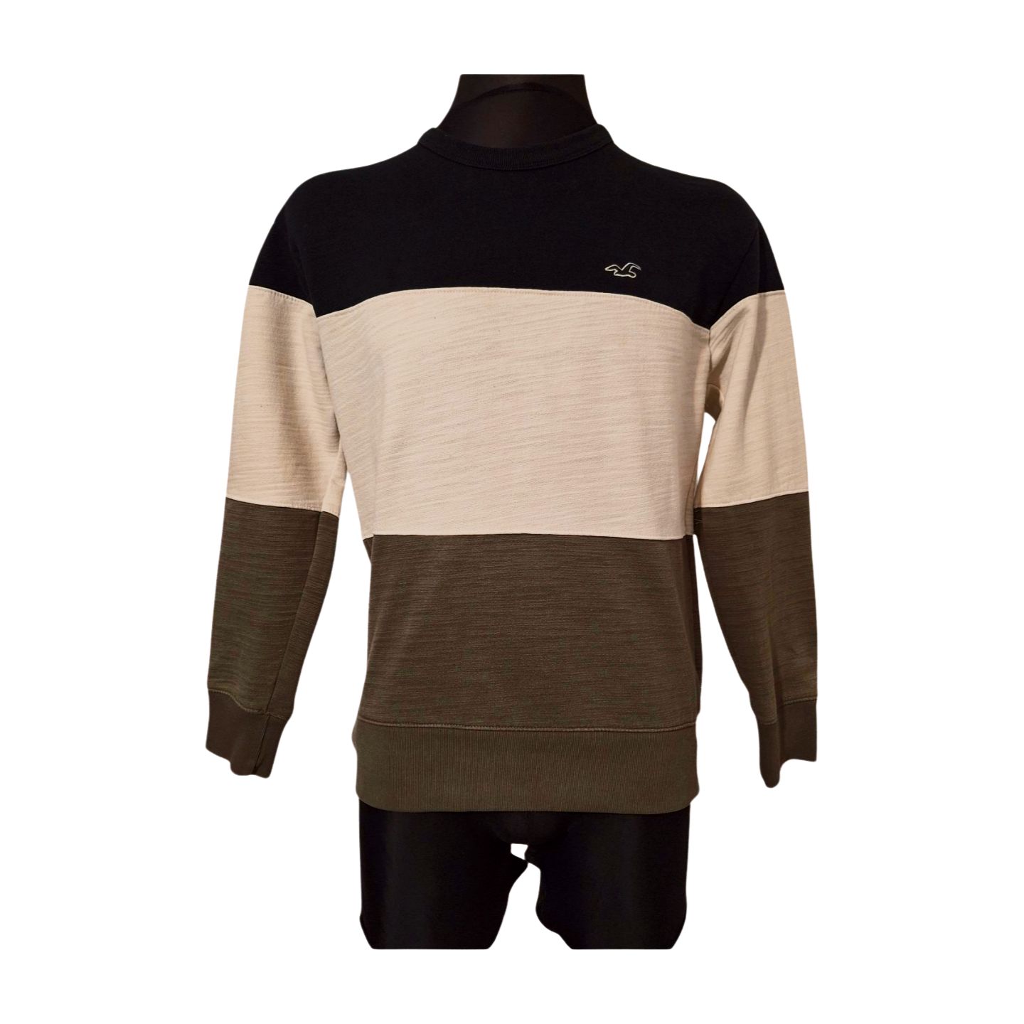 BLUZA MĘSKA HOLLISTER