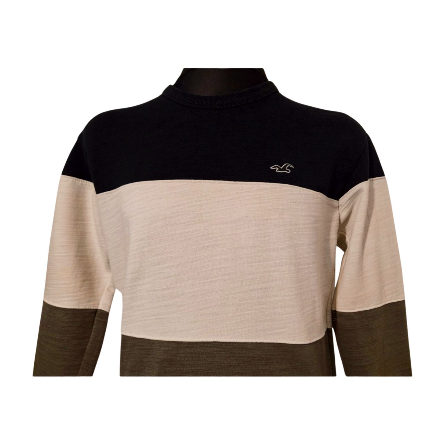 BLUZA MĘSKA HOLLISTER