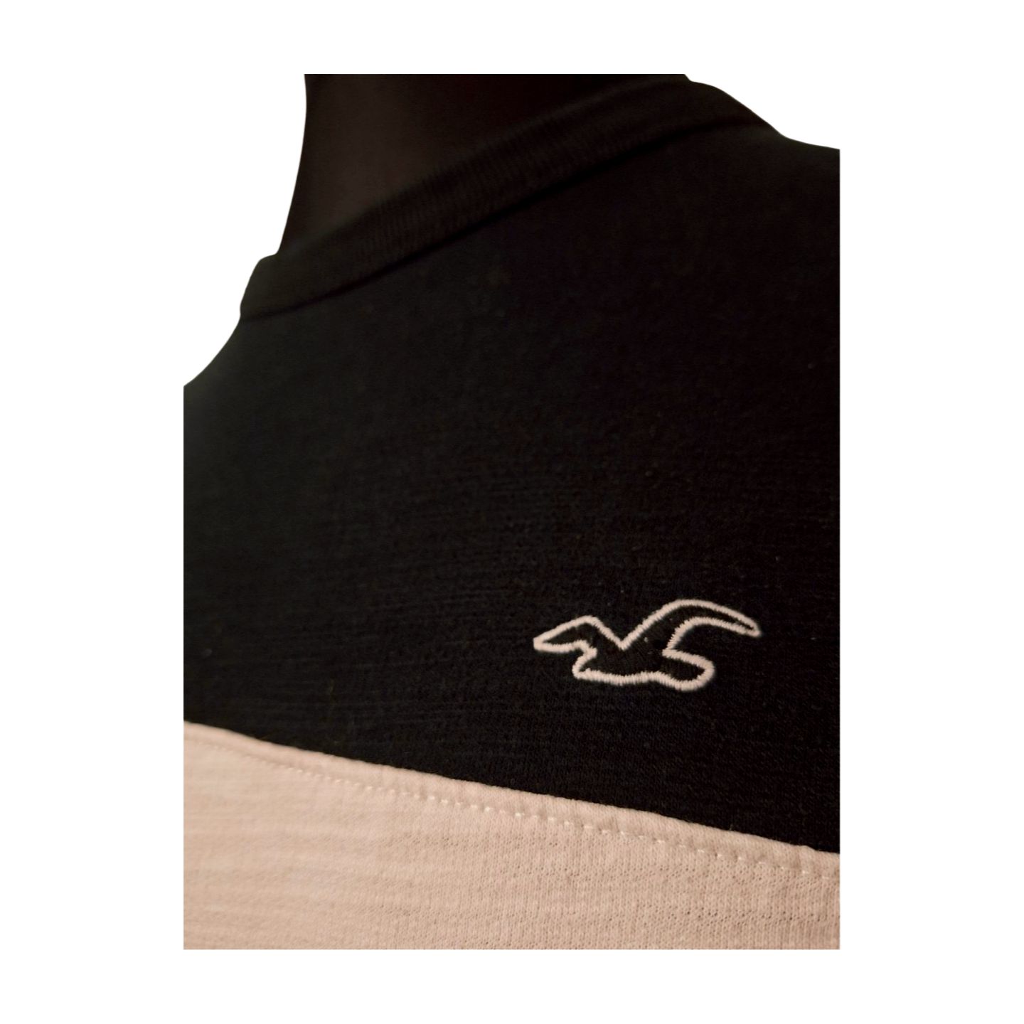 BLUZA MĘSKA HOLLISTER