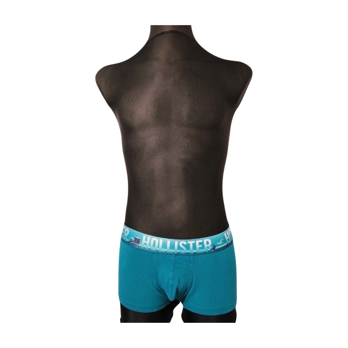 MAJTKI MĘSKIE BOKSERKI  HOLLISTER