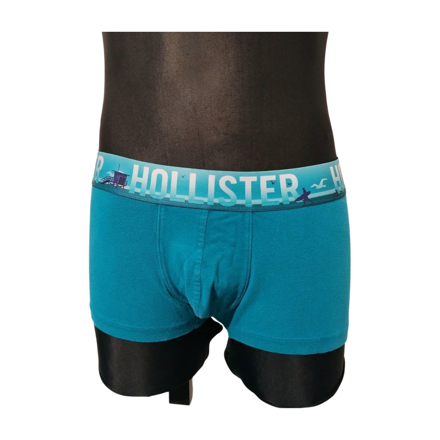 MAJTKI MĘSKIE BOKSERKI  HOLLISTER