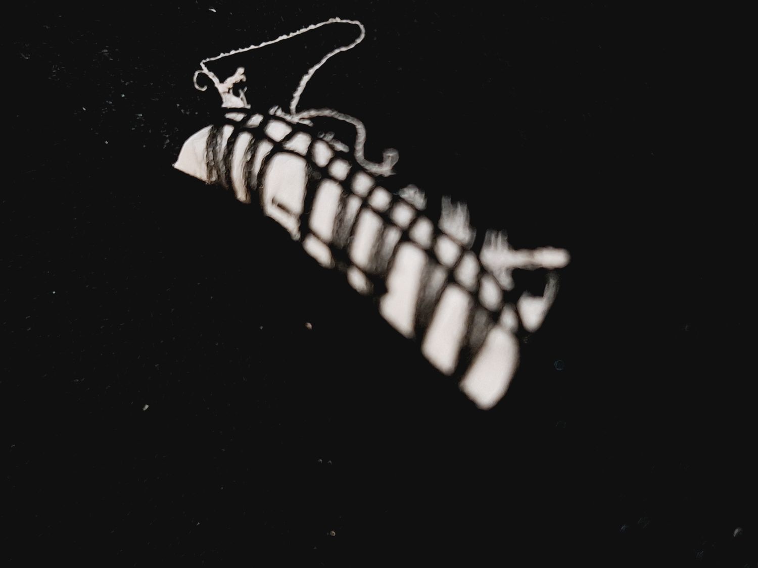 POLO MĘSKIE   LACOSTE