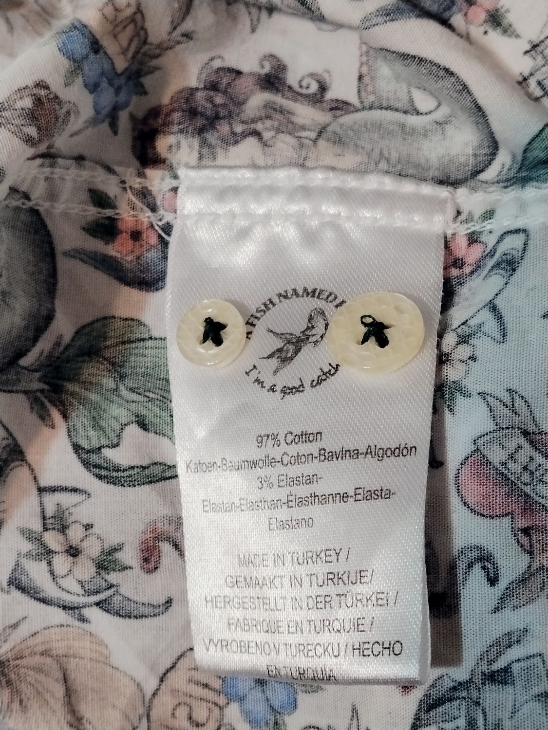 KOSZULA MĘSKA   -A FISH NAMED FRED-