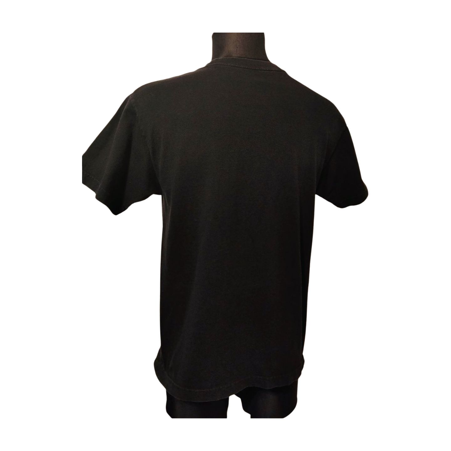 T-SHIRT MĘSKI  DISSIZIT