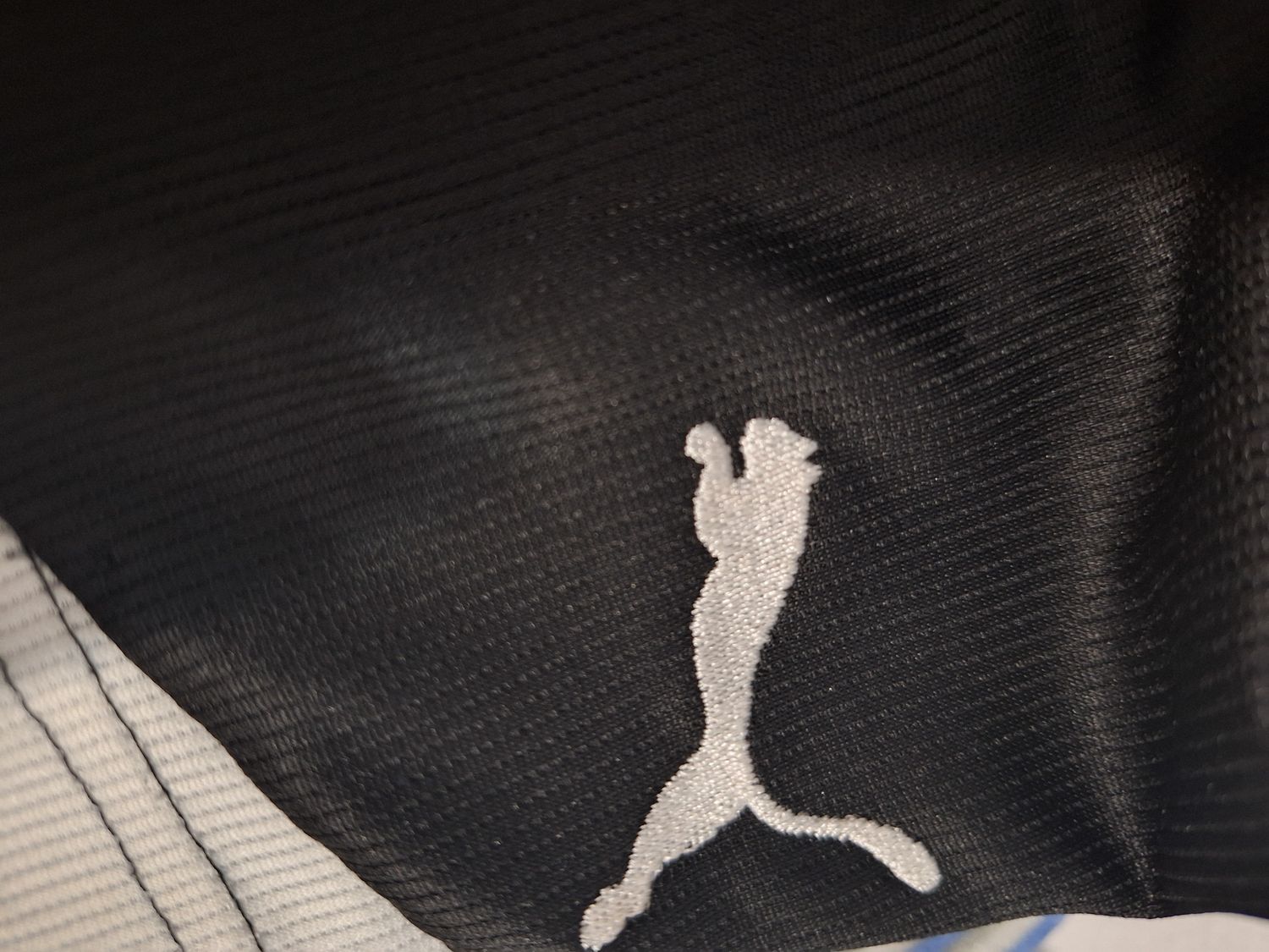 SPODENKI SPORTOWE  PUMA    014