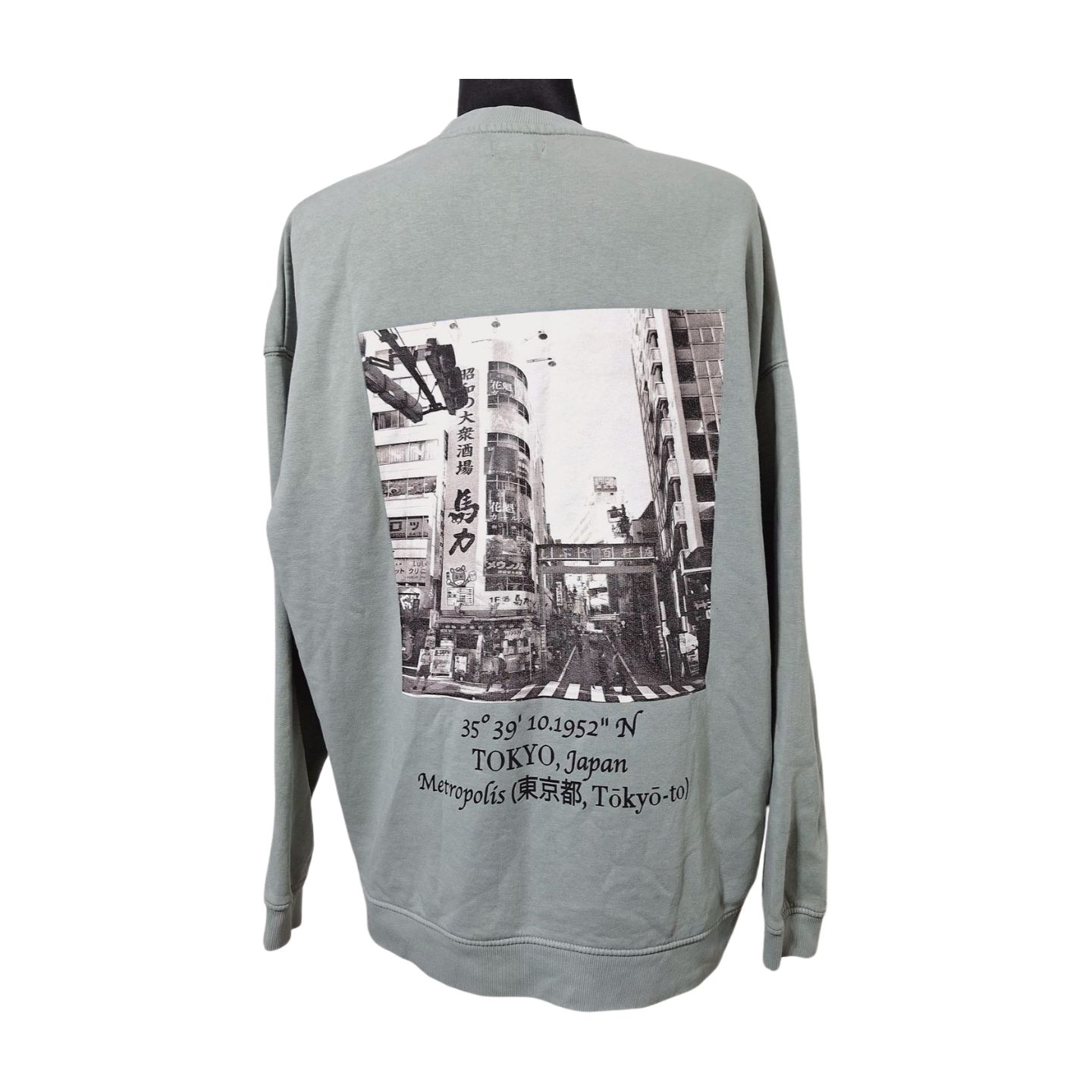 BLUZA MĘSKA TOKYO  -AMISU-     054