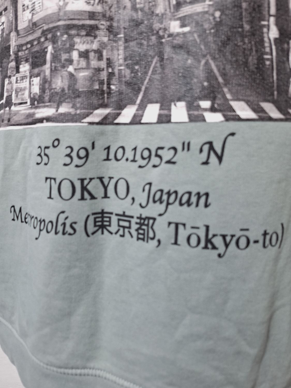 BLUZA MĘSKA TOKYO  -AMISU-     054
