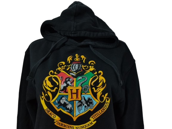 BLUZA MĘSKA HARRY POTTER    065