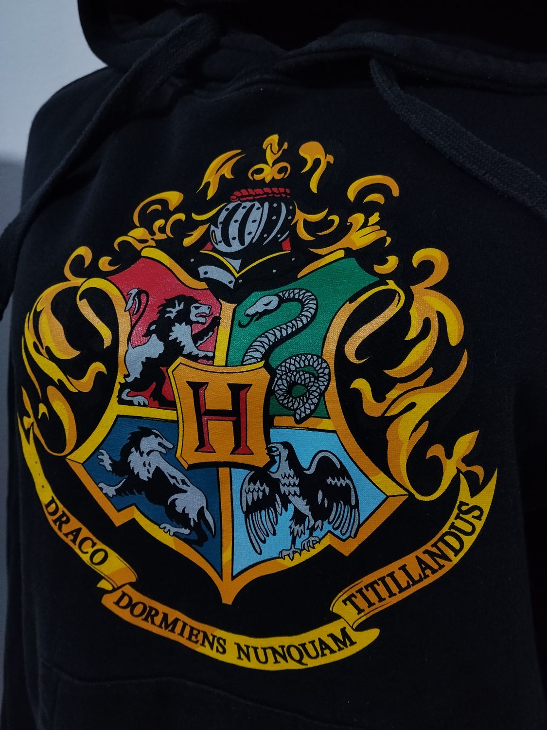 BLUZA MĘSKA HARRY POTTER    065