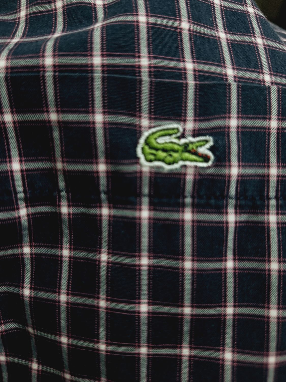 KOSZULA MĘSKA     LACOSTE