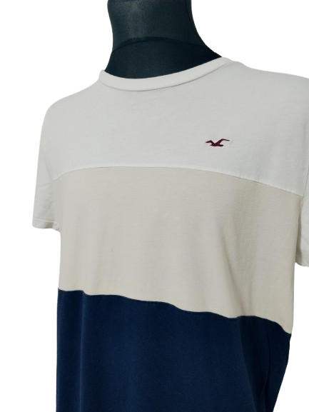 T-SHIRT MĘSKI   HOLLISTER