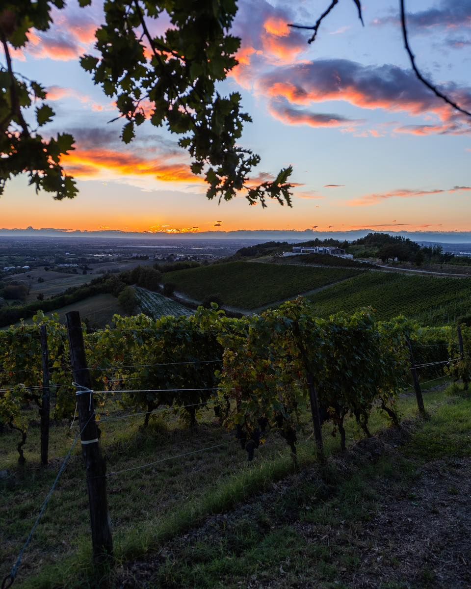 Instant (Digital Certificate)