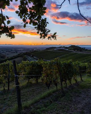 Instant (Digital Certificate)