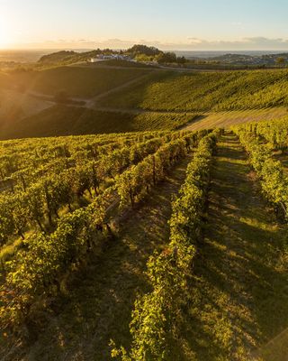 Visit &amp; Taste (Digital + Bottle on Visit)