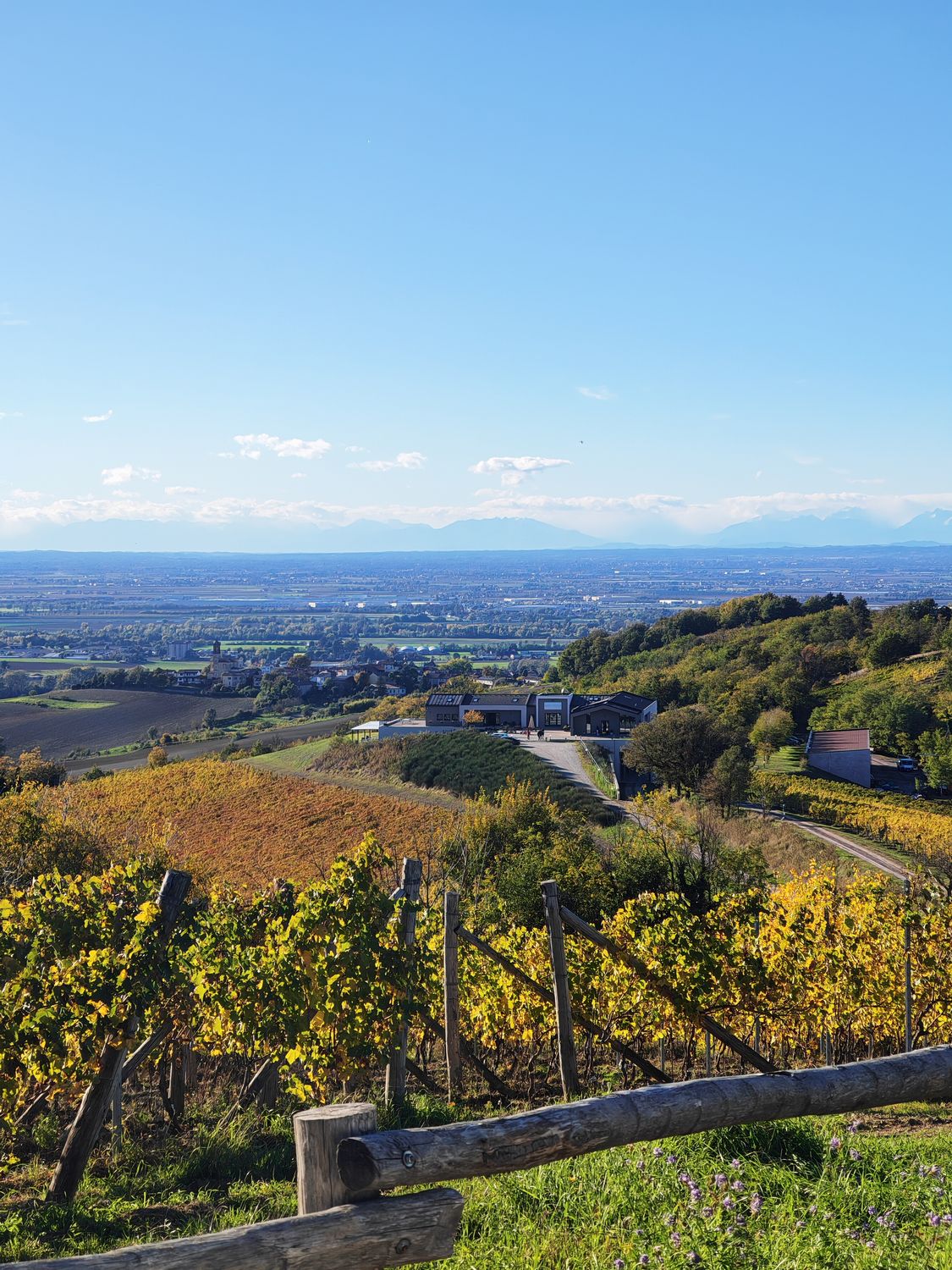 Full Experience (Physical Certificate + Bottle Delivery)