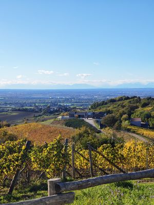 Full Experience (Physical Certificate + Bottle Delivery)