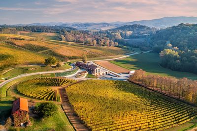 Visit &amp; Taste (Digital + Bottle on Visit)