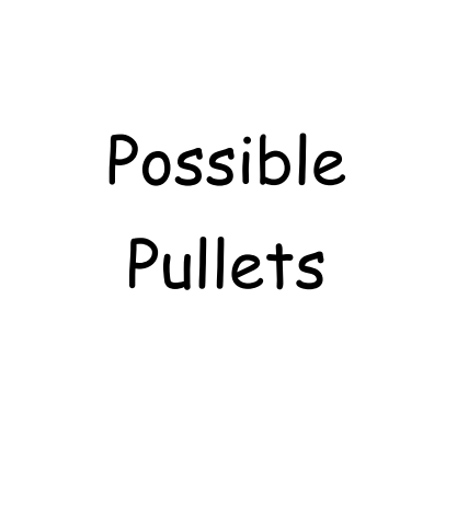 Pullets/Possible Pullets