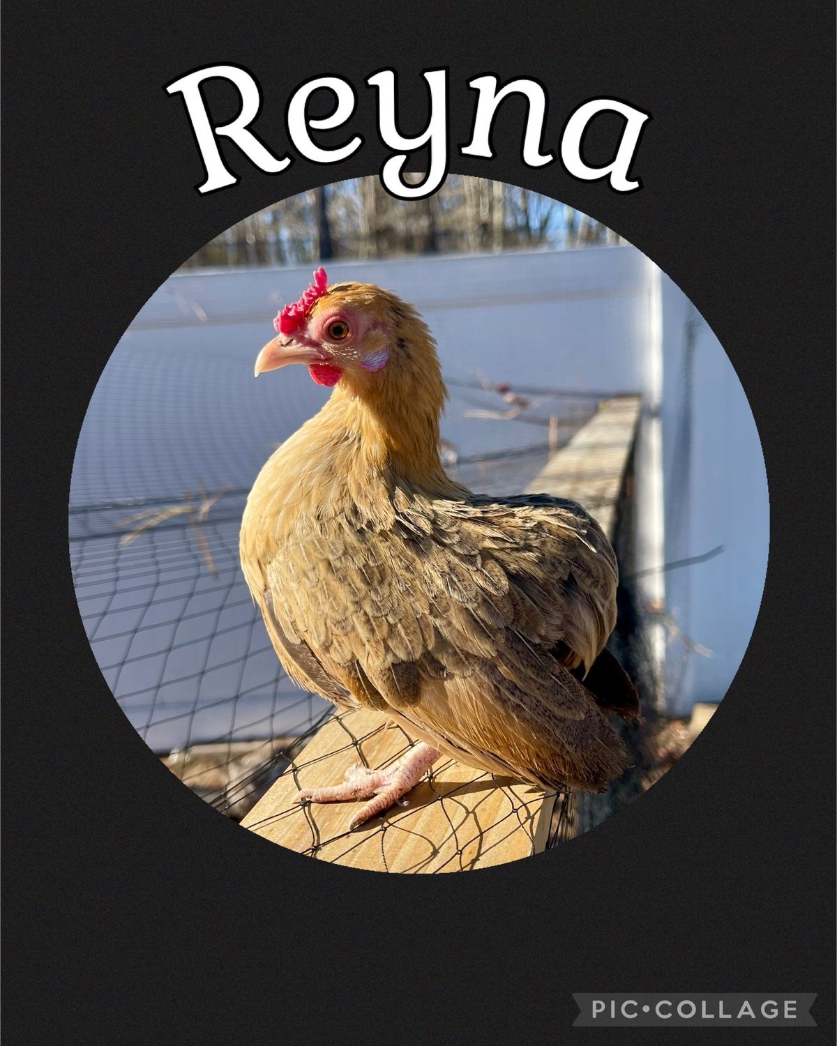 Breeder Spotlight