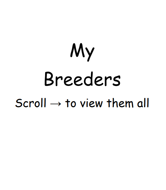 Breeder Spotlight
