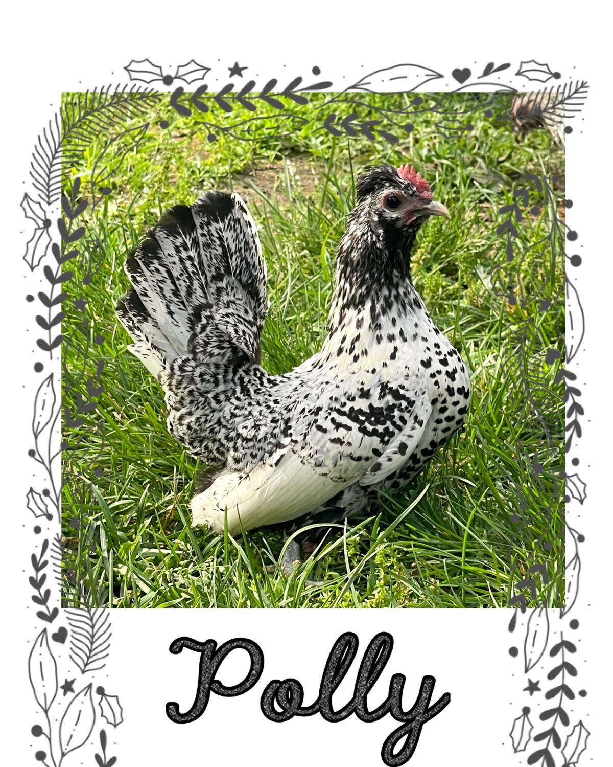 Breeder Spotlight