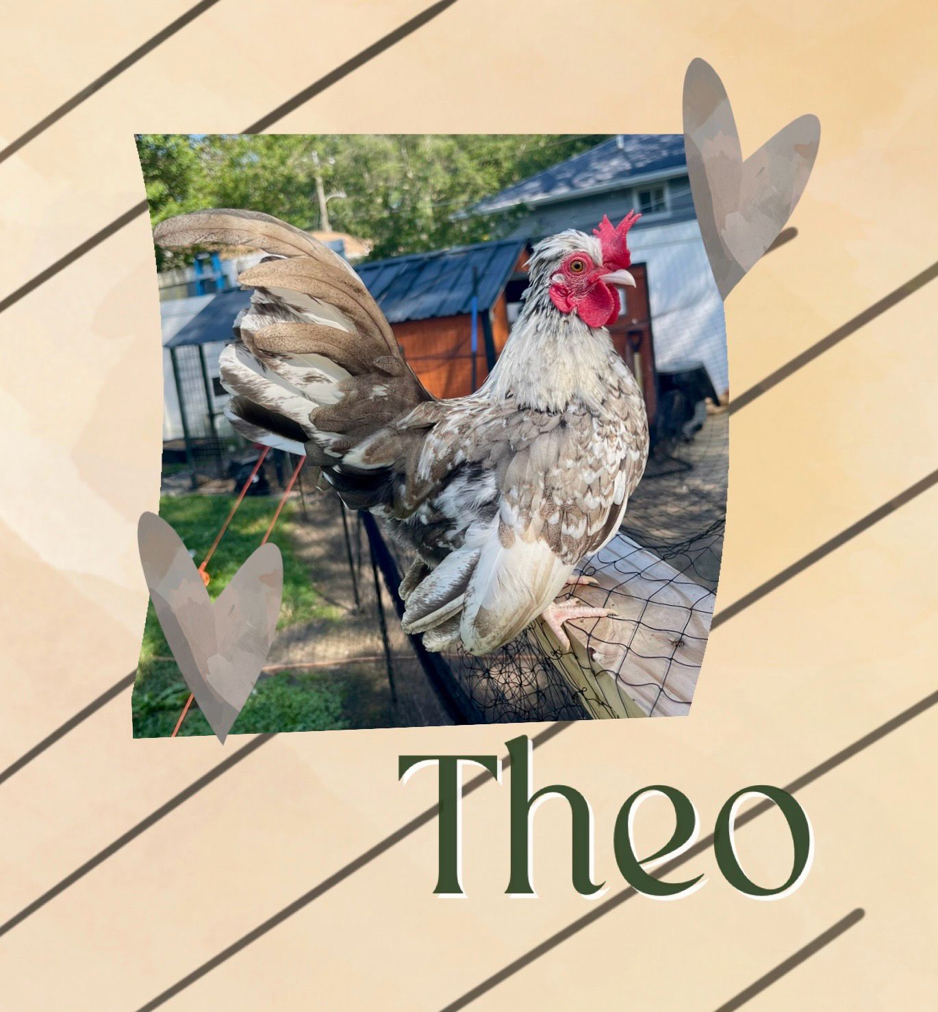 Breeder Spotlight