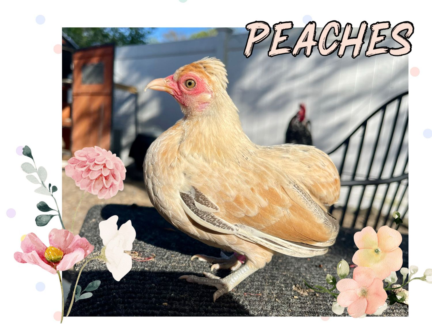 Peaches