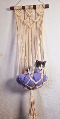 Cama hamaca para Gatito