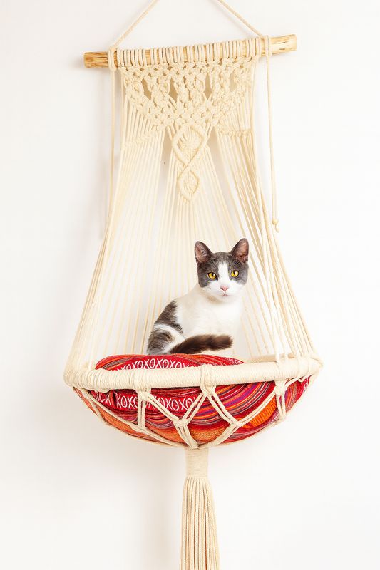 Cama Hamaca para Gatito