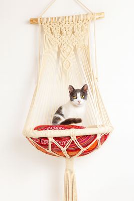 Cama Hamaca para Gatito