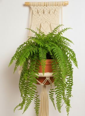 Macetero en Macramé