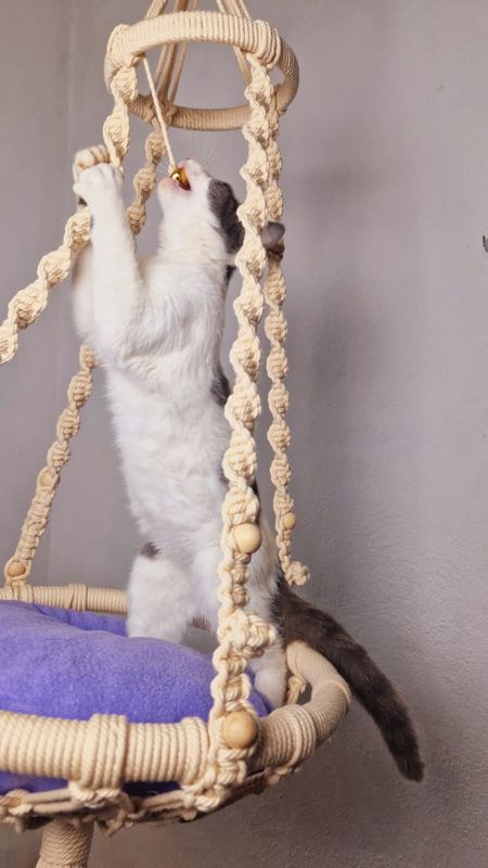 Handmade Macrame Cat Swing Bed