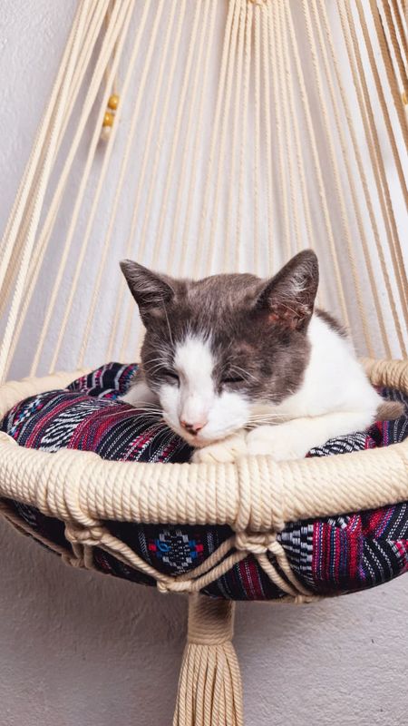 Boho Hanging Pet Hammock with Cushion