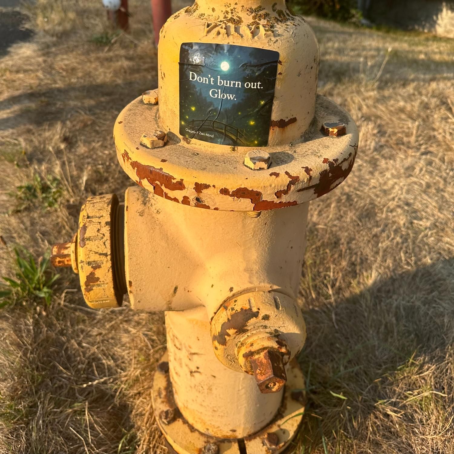 Large 'Don't burn out, glow' sticker featuring a moonlit bridge and glowing fairies stuck to a fire hydrant.