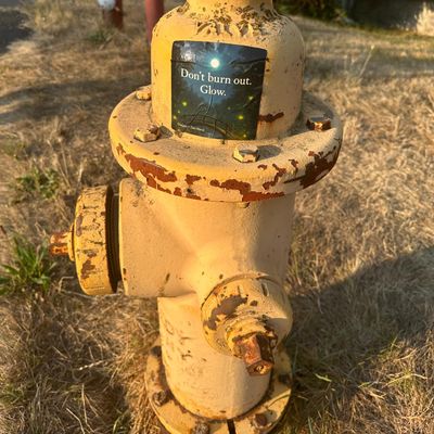 Large 'Don't burn out, glow' sticker featuring a moonlit bridge and glowing fairies stuck to a fire hydrant.