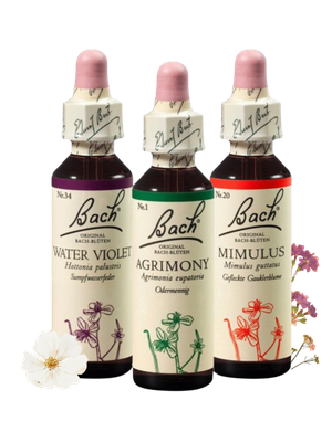 Bachblüten SB04