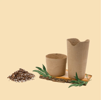 Eco Friendly Urns