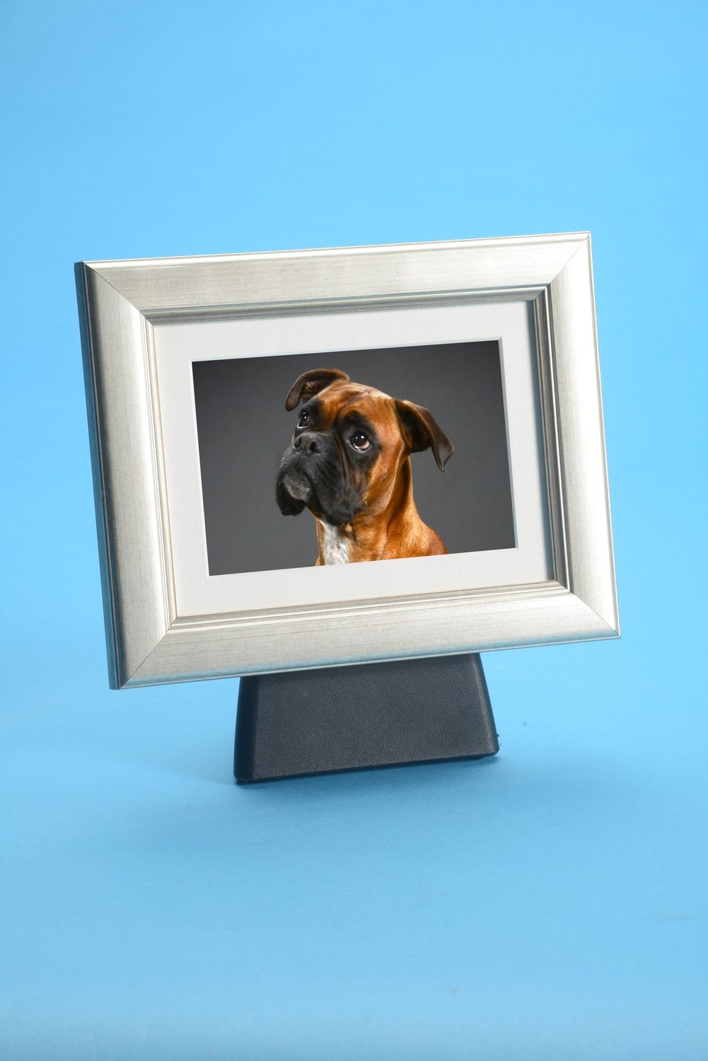 Tribute Frame Pod