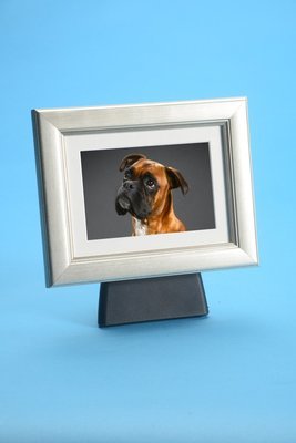 Tribute Frame Pod