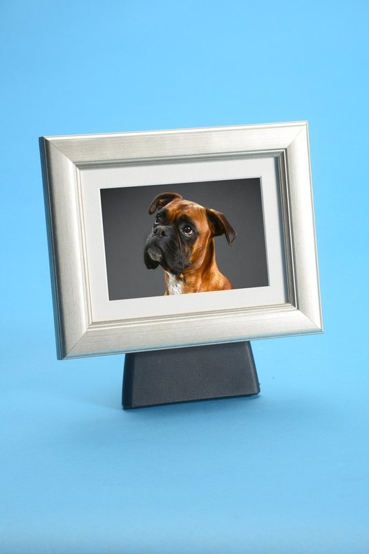 Tribute Frame Pod
