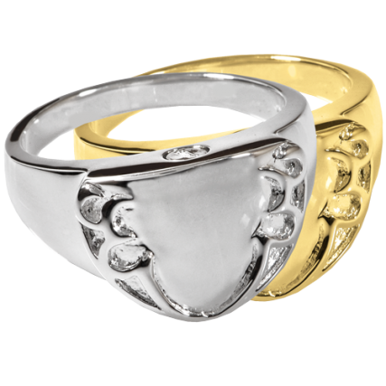 Shield Ring of Protection