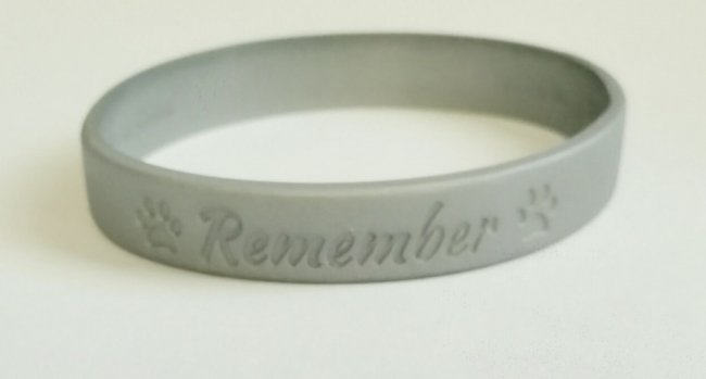 Remember Band