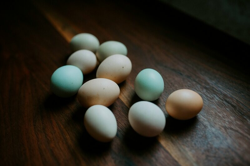Pastured Eggs - 1 Dozen