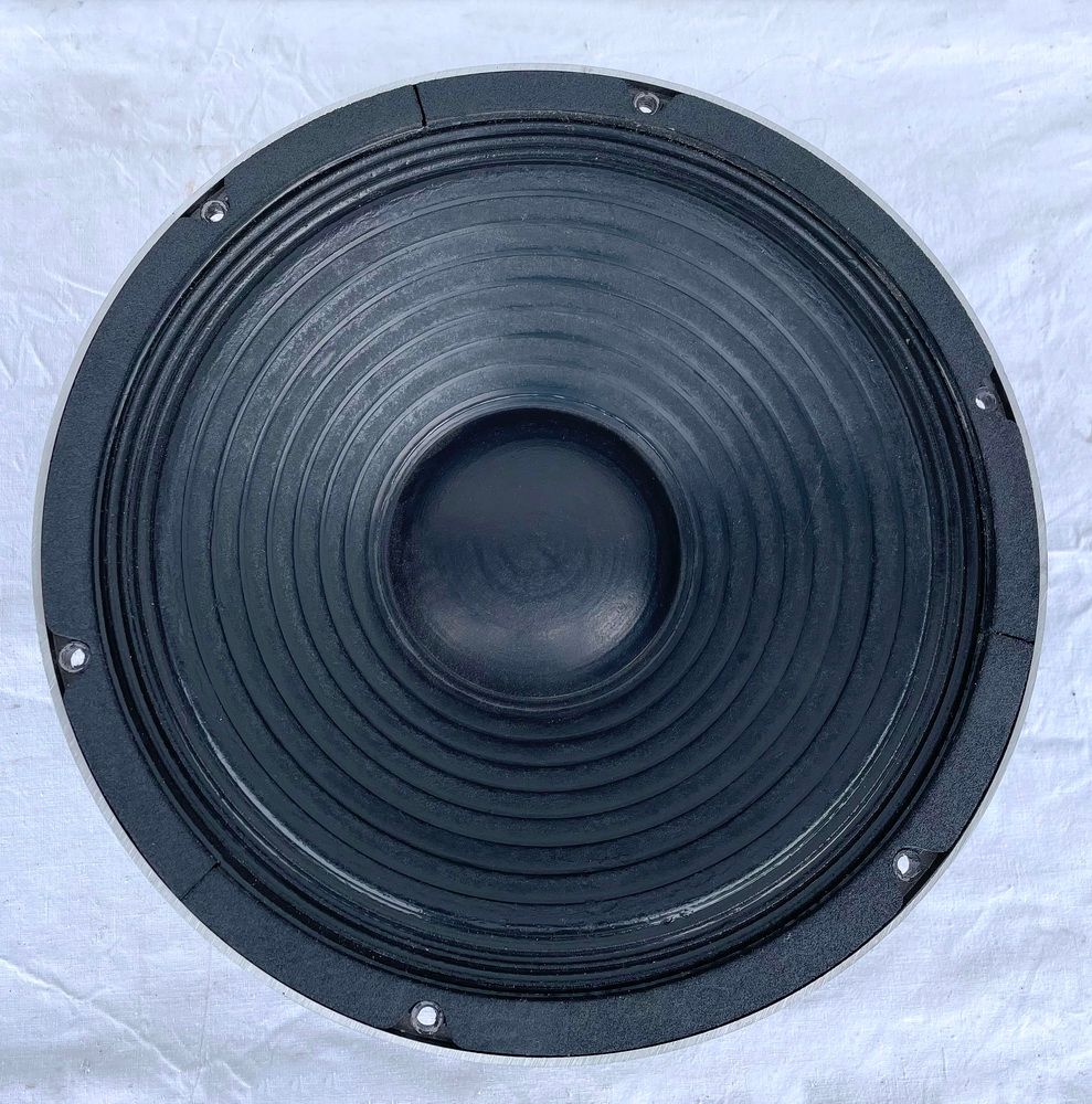Meyer Sound MS 12