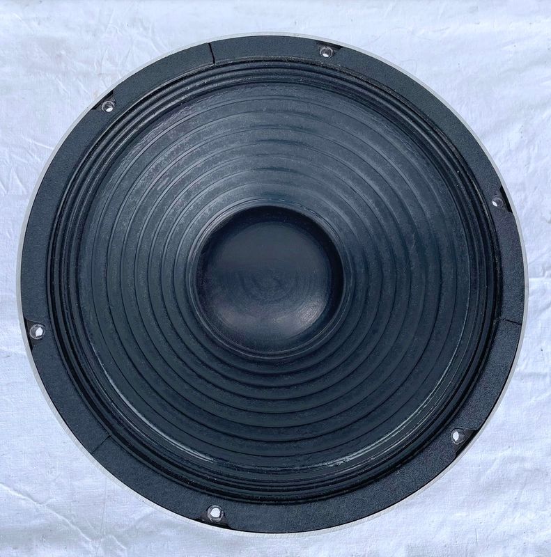 Meyer Sound MS 12