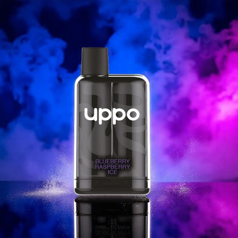 Wafer Pro [FRUITS] - Blueberry Raspberry Ice