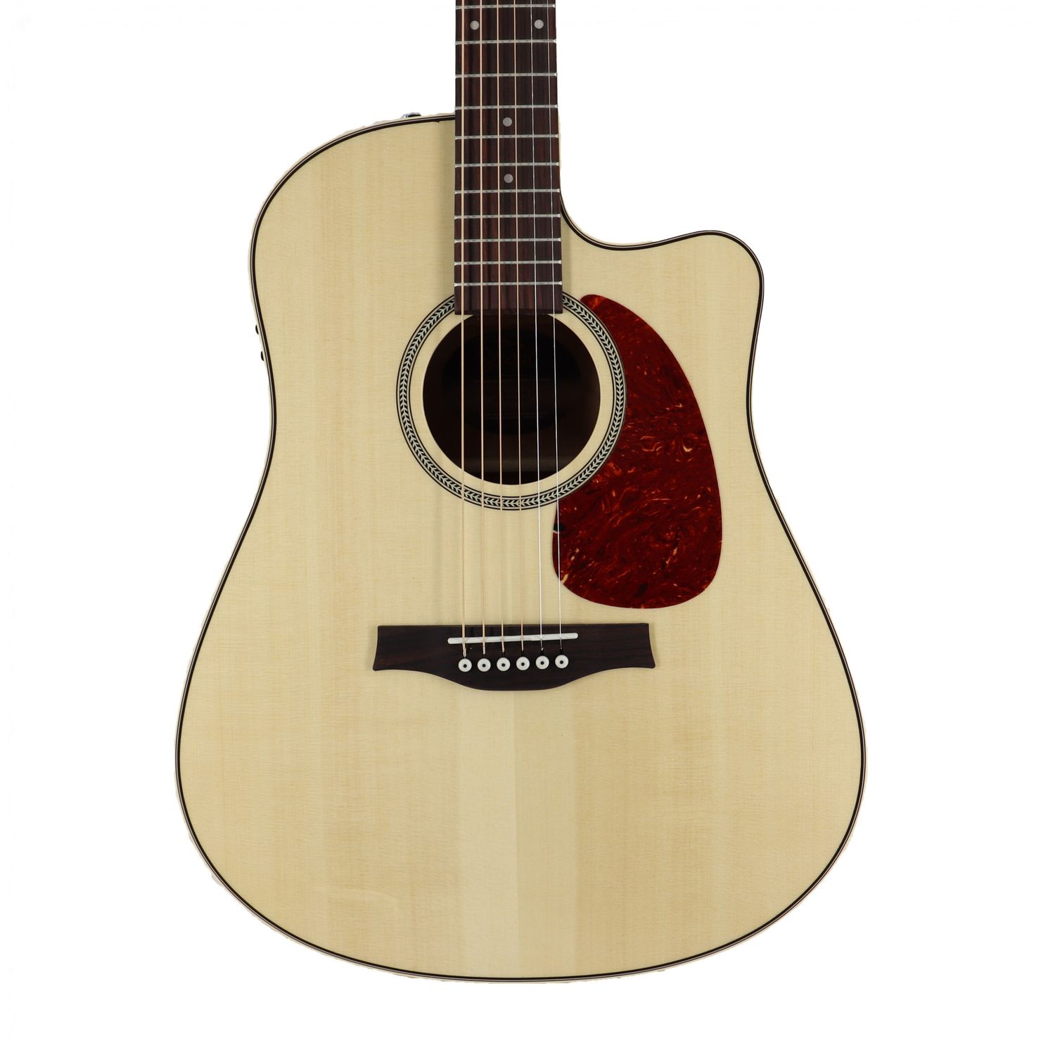 Seagull Performer CW HG QIT w/Bag